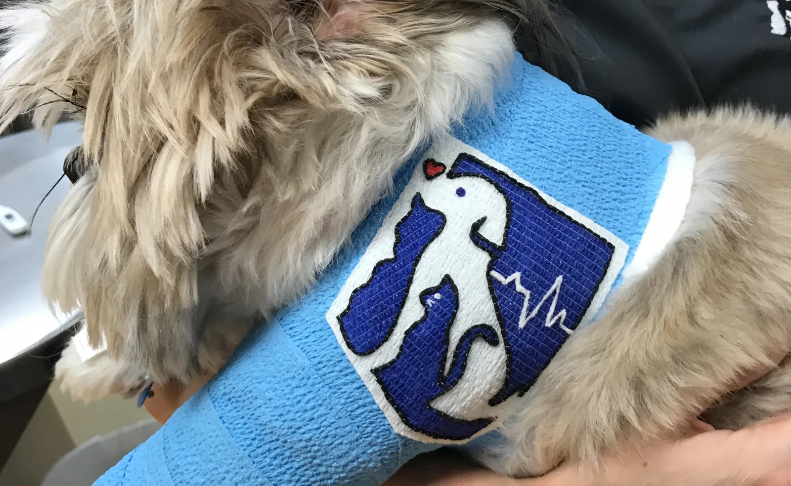 Employee holding animal with Arizona Veterinary Emergency & Critical Care Center logo bandage 